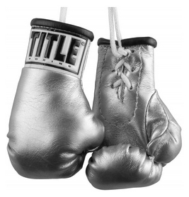 Брелок Title Boxing 5 Mini Boxing Gloves FP-MBG2, серый (2976890016262)
