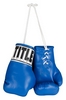 Брелок Title Boxing Mini Boxing Gloves Мексика FP-MBG, синий (2976890016279)