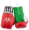 Брелок Title Oscar De La Hoya 5 Mini Boxing Gloves FP-ODMBG5, красный (2976890027169)