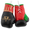 Брелок Title Oscar De La Hoya 5 Mini Boxing Gloves FP-ODMBG5, черный (2976890027152)