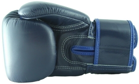 Перчатки тренировочные Fairtex Muay Thai Boxing Gloves, синие (FP-BGV1) - Фото №3