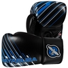 Перчатки тренировочные Hayabusa Ikusa Charged Gloves, черно-синие (FP-IC12G)
