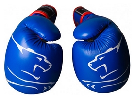 Перчатки боксерские PowerPlay 3018, синие (3018-BLRD) - Фото №2