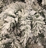 Гирлянда декоративная Black Box Trees Edelman Dinsmore Frosted, 270 см (8718861289053) - Фото №2