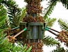 Сосна искусственная Triumph Tree Edelman Forest Frosted, 1,55 м (0756770520322) - Фото №4