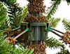 Ель искусственная Triumph Tree Edelman Forrester, 2,15 м (8718861444544) - Фото №3