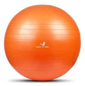 М'яч для фітнесу (фітбол) Way4you, 55 см (w40120) - Фото №2