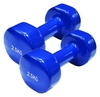 Гантели виниловые Spart, 2 шт по 2,5 кг - синие (DB2113-2,5Blue)