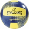 М'яч волейбольний Spalding Hurricane №5