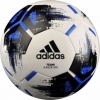 М'яч футбольний Adidas Team J350 CZ9573 №5
