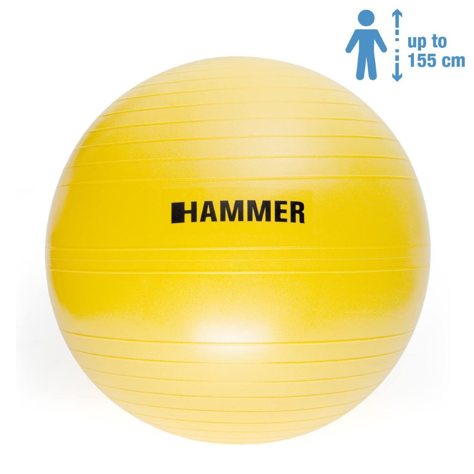 

Фитбол Hammer Gymnastics Ball Anti-Burst System (66406), 55 см, Желтый