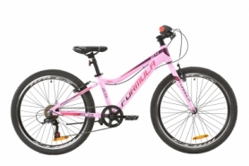 Велосипед подростковый горный Formula ACID 1.0 Vbr 2020 - AL 24", Розово-красно-фиолетовый (OPS-FR-24-180)