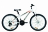 Велосипед подростковый горный Discovery RIDER 2020 - 24", Бело-красный с серым (OPS-DIS-24-195)