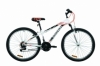 Велосипед гірський Discovery RIDER 2020 року - 26 ", Біло-червоний з сірим (OPS-DIS-26-309)