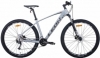 Велосипед гірський Leon TN-80 2020 року - 29 ", Сірий (OPS-LN-29-080)