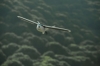 Літак FPV на радіокеруванні ZOHD Nano Talon (PNP) - Фото №7