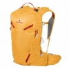 Рюкзак туристический Ferrino Rutor 25 Yellow (928045), 25л