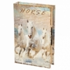 Книги сейф с кодовым замком CDRep Horse (FO-124142), 26 см