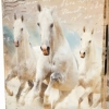 Книги сейф с кодовым замком CDRep Horse (FO-124142), 26 см - Фото №3