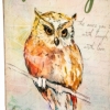 Книги сейф з кодовим замком CDRep Owl (FO-124143), 26 см - Фото №2