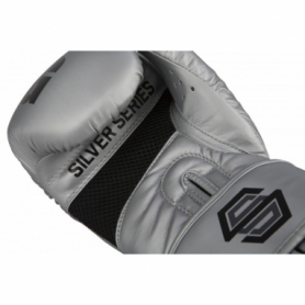 Перчатки боксерские TITLE Boxing Silver Series Select Training (FP-3214-V) - Фото №3