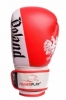 Перчатки боксерские PowerPlay 3021-2 (PP_3021_2P_Red_White) - Фото №2