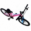 Велосипед детский RoyalBaby Chipmunk Explorer 20", рама - 14" (CM20-3-pink) - Фото №3