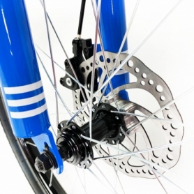 Велосипед детский RoyalBaby Chipmunk Explorer 20" (CM20-3-blue) - Фото №3