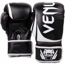 Перчатки боксерские Venum Original Challenger 2.0 (FP-7123-V) - черные