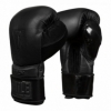 Перчатки боксерские TITLE Boxing Black Training  2.0 (FP-7751-V)
