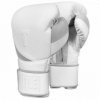 Перчатки боксерские Title White Bag 2.0 (FP-7760-V)
