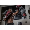 Рукавички боксерські TITLE Boxing Ali Authentic Leather Training (FP-8461-V) - Фото №4
