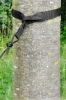 Крепления для гамаков La Siesta TreeMount (TMF45-9) - Фото №3