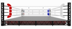Ринг боксерський V`Noks Exo, 6х6х0,5 м (RDX-2093) - Фото №4