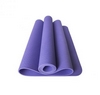 Коврик для фитнеса и йоги с чехлом Newt TPE Eco NE-5-80-18-V - фиолетовый, 183х61х0,6 см