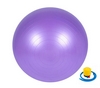 Мяч для фитнеса (фитбол) Newt HMS 487-626-1-V - фиолетовый, 65 см