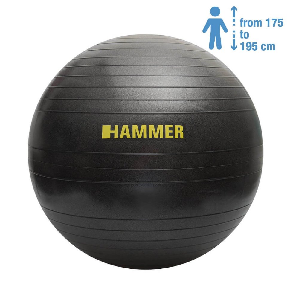 

Фитбол для фитнеса Hammer Gymnastics Ball, 75 cм (66408, Черный