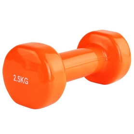 Гантель для фитнеса виниловая Stein, 2,5 кг (LKDB-504A-2.5)