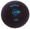 Мяч для сквоша Dunlop Intero (700105)