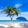 Зонт пляжный (садовый) усиленный Springos, 240 см (BU0003) - Фото №4