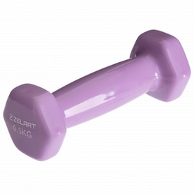 Гантель для фитнеса виниловая Zelart фиолетовая, 0,5 кг (TA-2777-0_5_VIO)