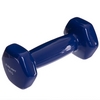 Гантель для фитнеса виниловая Zelart синяя, 1 кг (TA-2777-1_BL)