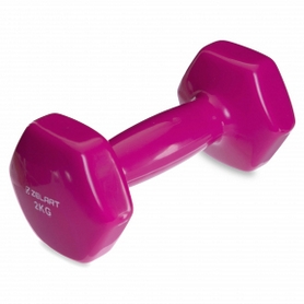 Гантель для фитнеса виниловая Zelart розовая, 2 кг (TA-2777-2_PNK)