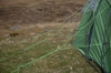 Палатка двухместная Vango Omega 250 Pamir Green (TENOMEGA P32163) - Фото №9