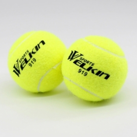 Набор мячей для большого тениса IVN Welkin, 12 шт (IV-PM6950) - Фото №2