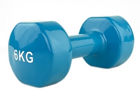 Гантель для фитнеса виниловая Stein, 6 кг (LKDB-504A-6)