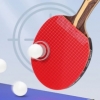 Ракетка для настольного тенниса DHS (H9002) - Фото №3