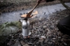 Сковорода кованая Petromax Wrought-Iron Pan, 14 см (sp20) - Фото №4