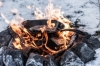 Сковорода-гриль чугунная Petromax Grill Fire Skillet с длинной ручкой, 25 см (gp30-t) - Фото №4