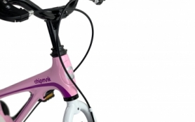 Велосипед детский RoyalBaby Chipmunk MOON 14", Магний, OFFICIAL UA, розовый - Фото №5